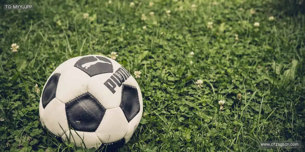 📱【直播平台】超清画质，错过的精彩都在这里回放！